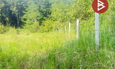 ขายที่ดิน เนื้อที่ 126.5 ตารางวา หมู่บ้านเบญจรงค์ หารแก้ว หางดง เชียงใหม่