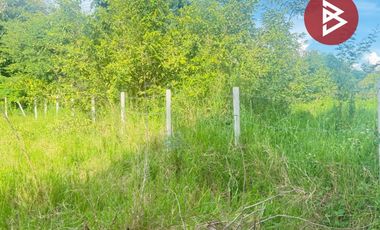 ขายที่ดิน เนื้อที่ 126.5 ตารางวา หมู่บ้านเบญจรงค์ หารแก้ว หางดง เชียงใหม่