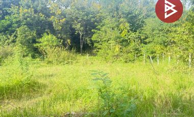 ขายที่ดิน เนื้อที่ 126.5 ตารางวา หมู่บ้านเบญจรงค์ หารแก้ว หางดง เชียงใหม่