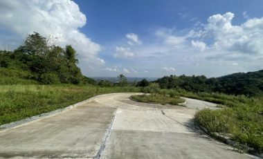 Foreclosed Property - 1,173 sqm for Sale Lot 2 Blk 25 in Amiya Raya Highland Homes, San Mateo, Rizal