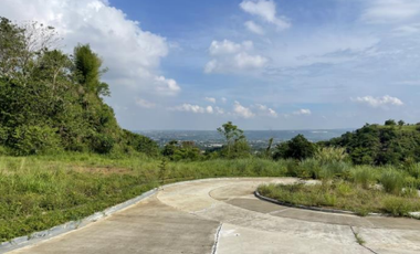 Foreclosed Property - 1,173 sqm for Sale Lot 2 Blk 25 in Amiya Raya Highland Homes, San Mateo, Rizal