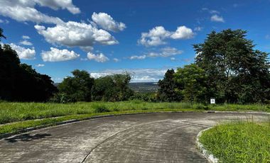 Foreclosed Property - 1,173 sqm for Sale Lot 2 Blk 25 in Amiya Raya Highland Homes, San Mateo, Rizal