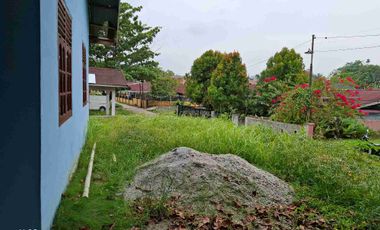 Rumah murah daerah jl Hangtuah jl Sail