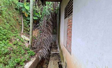 Rumah murah daerah jl Hangtuah jl Sail