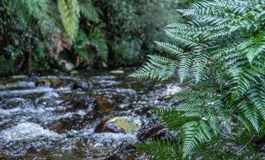 CASA A ESTRENAR EN CONDOMINIO