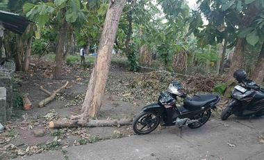 Jual Tanah di KEBONAGUNG IMOGIRI BANTUL YOGYA