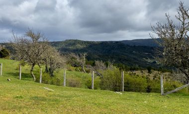 Campo en Los Muermos, Yerbas Buenas – Región de Los Lagos