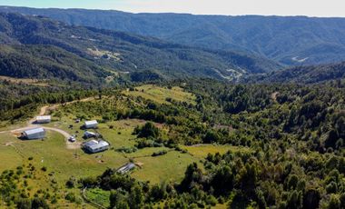 Campo en Los Muermos, Yerbas Buenas – Región de Los Lagos