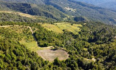 Campo en Los Muermos, Yerbas Buenas – Región de Los Lagos
