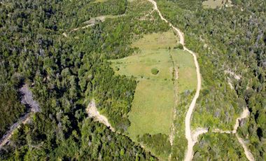Campo en Los Muermos, Yerbas Buenas – Región de Los Lagos