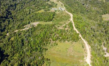 Campo en Los Muermos, Yerbas Buenas – Región de Los Lagos
