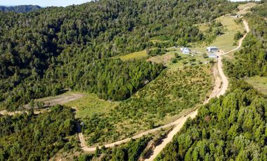 Campo en Los Muermos, Yerbas Buenas – Región de Los Lagos