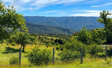 Campo en Los Muermos, Yerbas Buenas – Región de Los Lagos