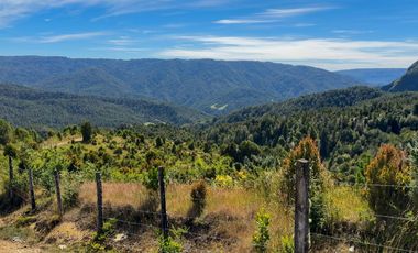 Campo en Los Muermos, Yerbas Buenas – Región de Los Lagos
