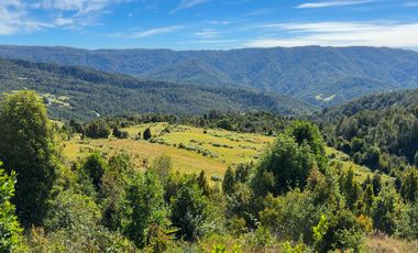 Campo en Los Muermos, Yerbas Buenas – Región de Los Lagos