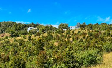 Campo en Los Muermos, Yerbas Buenas – Región de Los Lagos