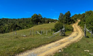 Campo en Los Muermos, Yerbas Buenas – Región de Los Lagos