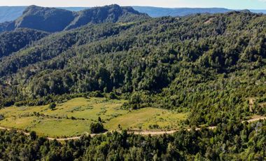 Campo en Los Muermos, Yerbas Buenas – Región de Los Lagos