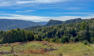 Campo en Los Muermos, Yerbas Buenas – Región de Los Lagos