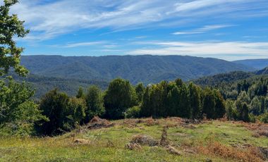 Campo en Los Muermos, Yerbas Buenas – Región de Los Lagos