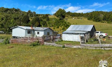 Campo en Los Muermos, Yerbas Buenas – Región de Los Lagos