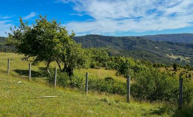 Campo en Los Muermos, Yerbas Buenas – Región de Los Lagos