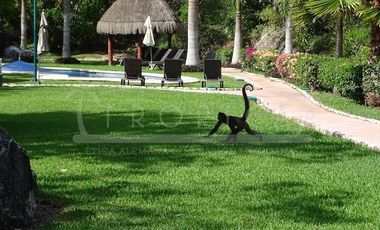 Puerto Morelos Regatta Casa en Renta con Alberca