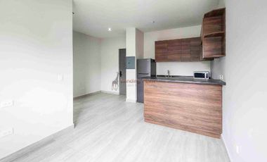 En Renta departamentos Nuevos y Equipados en Mitras Centro