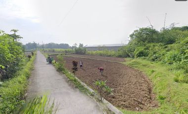 Hook Land, located near Jogja-Solo Road, Prambanan Toll Gate, for residential, investment, warehousing, and business purposes.