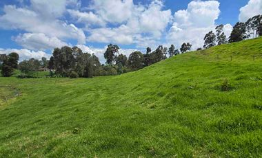 VENDO LOTES INDUSTRIALES LOCALES Y BODEGAS