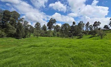 VENDO LOTES INDUSTRIALES LOCALES Y BODEGAS