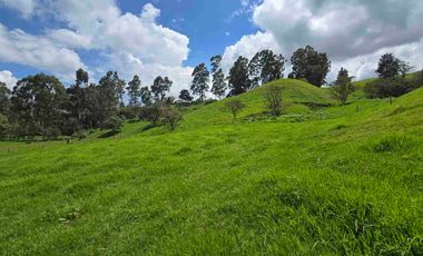 VENDO LOTES INDUSTRIALES LOCALES Y BODEGAS