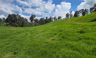 VENDO LOTES INDUSTRIALES LOCALES Y BODEGAS