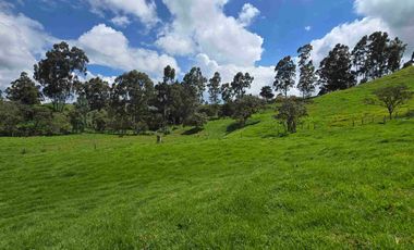 VENDO LOTES INDUSTRIALES LOCALES Y BODEGAS