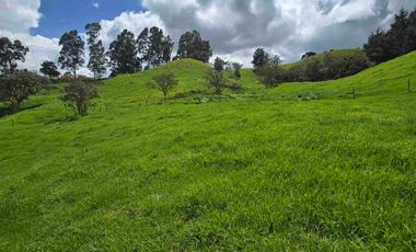 VENDO LOTES INDUSTRIALES LOCALES Y BODEGAS