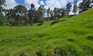 VENDO LOTES INDUSTRIALES LOCALES Y BODEGAS