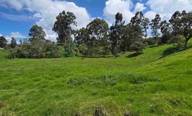 VENDO LOTES INDUSTRIALES LOCALES Y BODEGAS