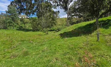 VENDO LOTES INDUSTRIALES LOCALES Y BODEGAS