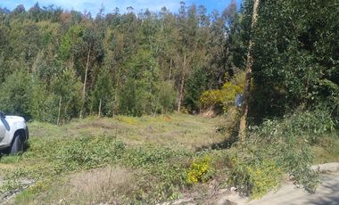 VENTA EN EXCLUSIVO CONDOMINIO DE PARCELAS CONCEPCION 7.700 MT2