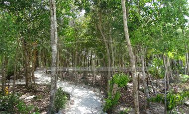 Casa en Renta en Aldea Ha – Puerto Morelos