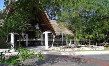 Casa en Renta en Aldea Ha – Puerto Morelos