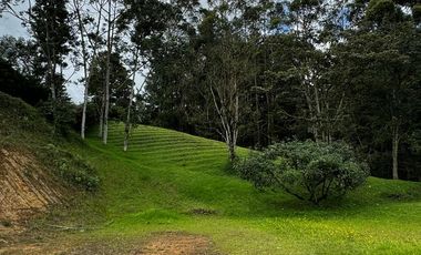 Lote en La Ceja, campestre en parcelación – Con Agua de nacimiento