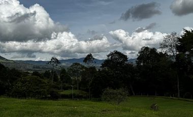 Lote en La Ceja, campestre en parcelación – Con Agua de nacimiento