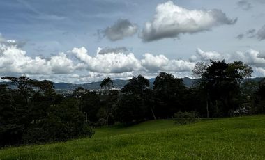 Lote en La Ceja, campestre en parcelación – Con Agua de nacimiento