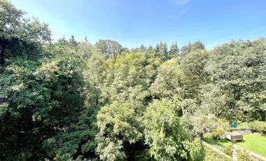 REMATE DE GRANDE CASA EN VILLA VERDUN, ÁLVARO OBREGÓN, PAGO ÚNICAMENTE CON RECURSOS PROPIOS.