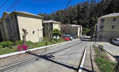 SE ARRIENDA DEPARTAMENTO EN CONSTITUCIÓN