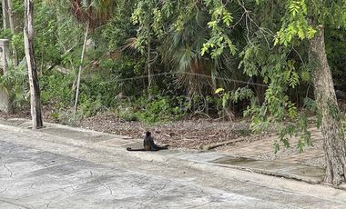 Linda casa en renta amueblada en Puerto Morelos Aldea Kiin