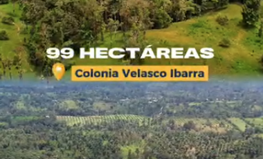 VENTA FINCA AGRICOLA Y GANADERA