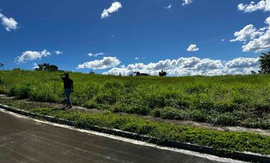 Foreclosed Property - 316 sqm for Sale Lot 1 Blk 24 in Amiya Raya Highland Homes, San Mateo, Rizal