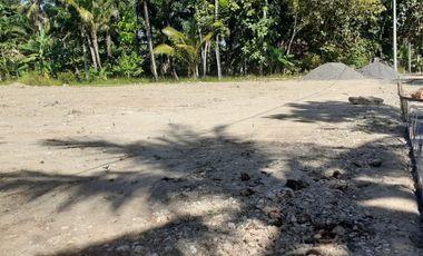 Dekat Exit Tol Sentolo Tanah Jogja Cocok Bangun Kos